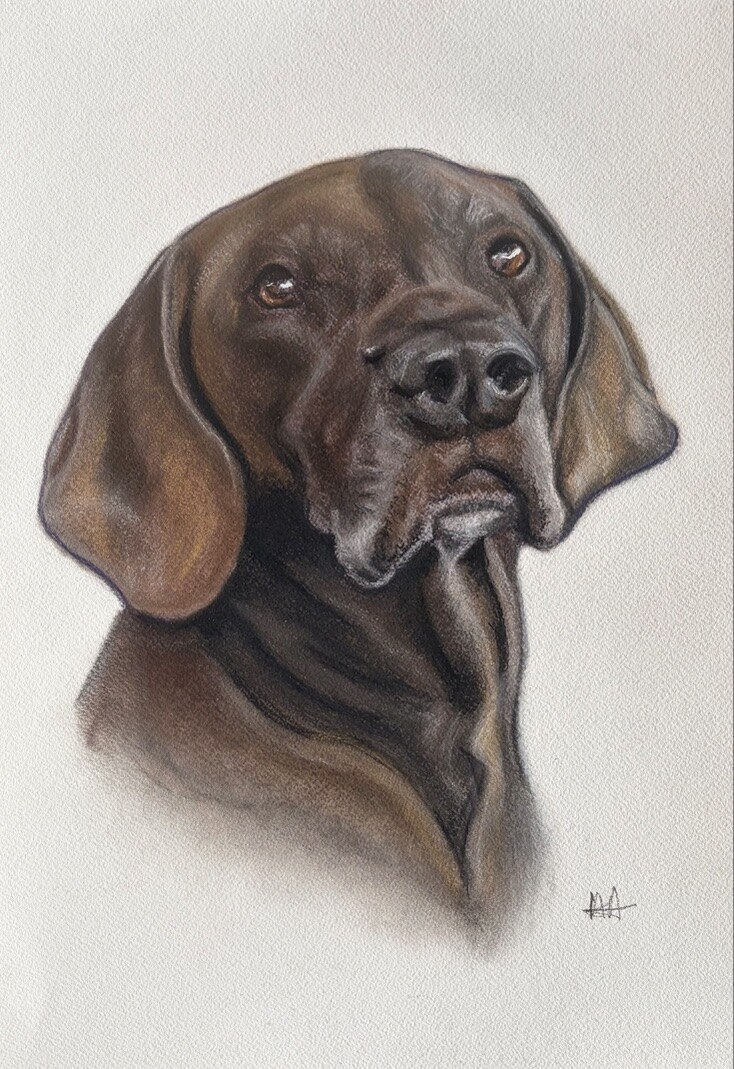 Detailed realistic pastel portrait of a brown floppy-eared dog